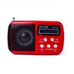 ΟΕΜ - Φορητό ηχείο με ραδιόφωνο - Mini Digital Speaker System WS-822