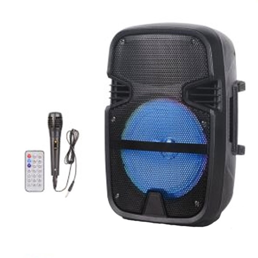 PZX NDR-6008 Bluetooth Φορητό ηχείο - Wireless Speaker 8 Inch